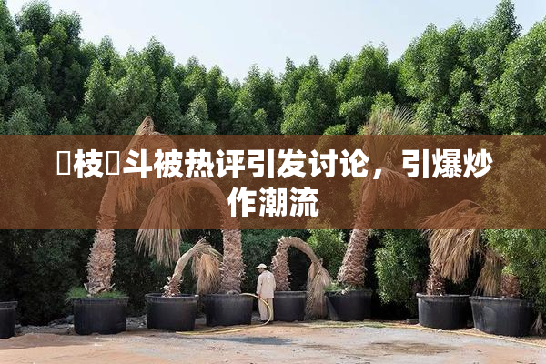 狛枝凪斗被热评引发讨论，引爆炒作潮流