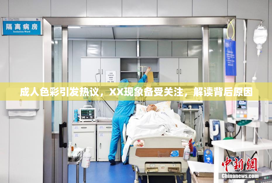成人色彩引发热议，XX现象备受关注，解读背后原因