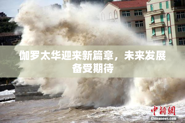 伽罗太华迎来新篇章，未来发展备受期待