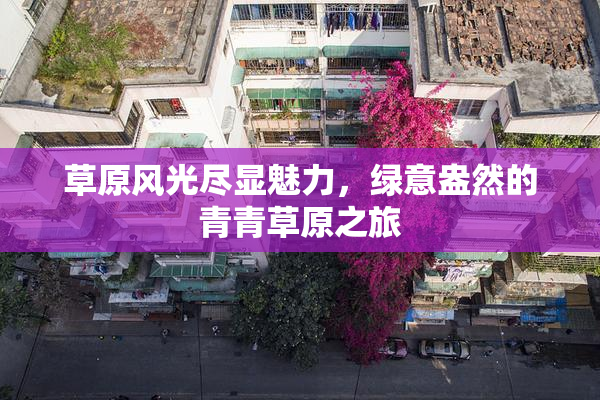 草原风光尽显魅力，绿意盎然的青青草原之旅