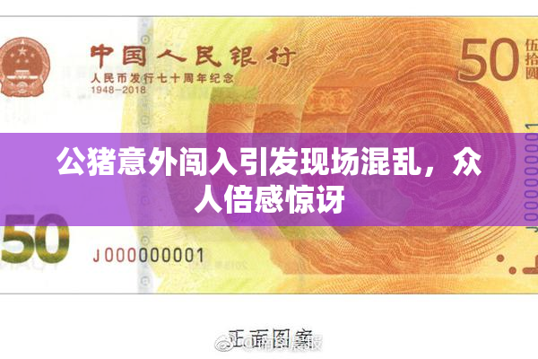 公猪意外闯入引发现场混乱，众人倍感惊讶