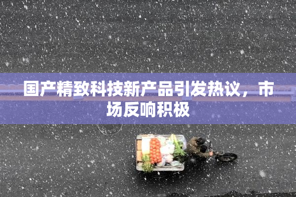 国产精致科技新产品引发热议，市场反响积极