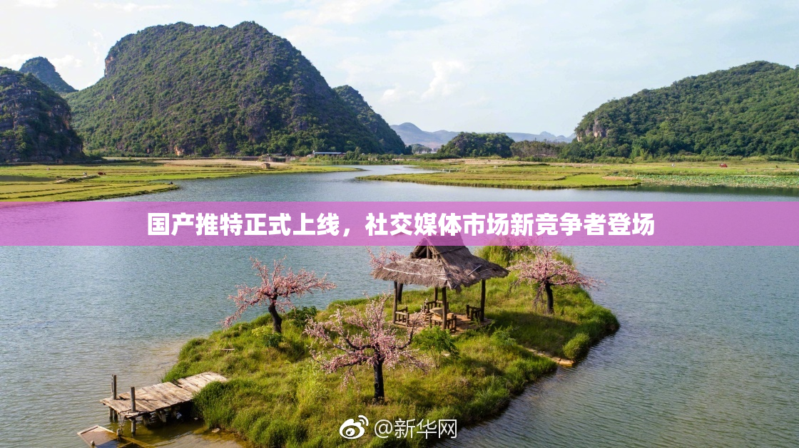 国产推特正式上线，社交媒体市场新竞争者登场