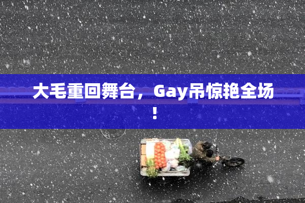 大毛重回舞台，Gay吊惊艳全场！