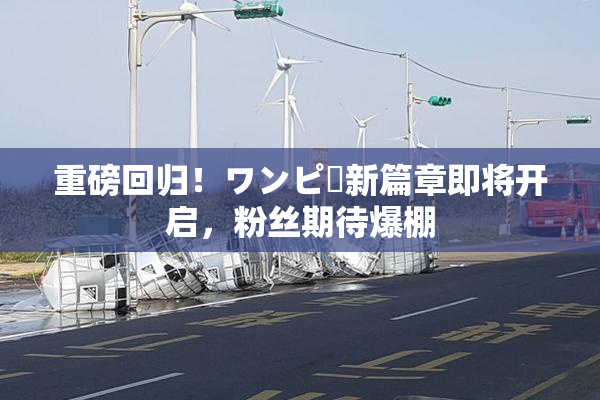 重磅回归！ワンピー新篇章即将开启，粉丝期待爆棚