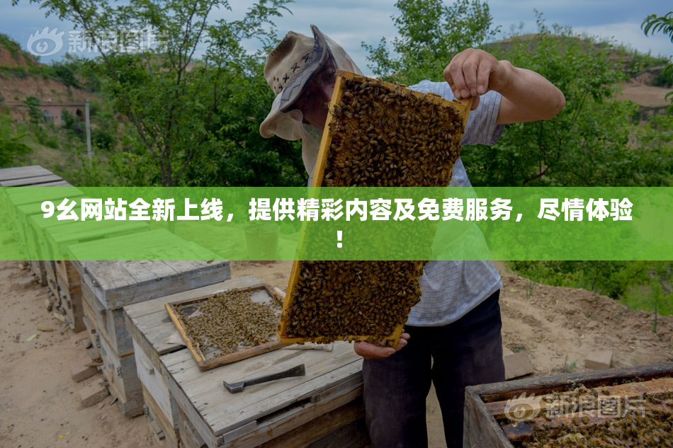 9幺网站全新上线，提供精彩内容及免费服务，尽情体验！