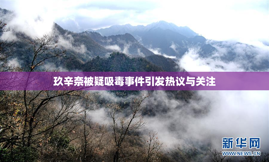 玖辛奈被疑吸毒事件引发热议与关注