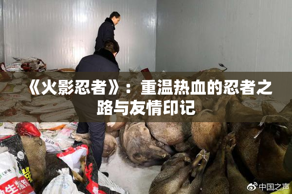 《火影忍者》：重温热血的忍者之路与友情印记
