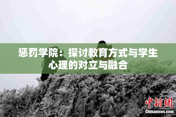 惩罚学院：探讨教育方式与学生心理的对立与融合