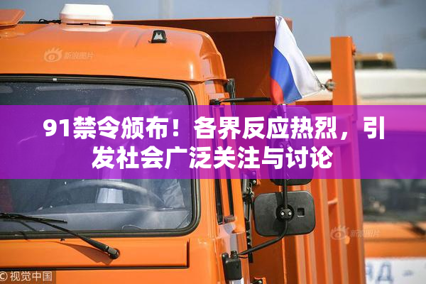 91禁令颁布！各界反应热烈，引发社会广泛关注与讨论