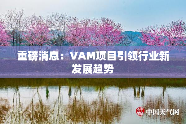 重磅消息：VAM项目引领行业新发展趋势