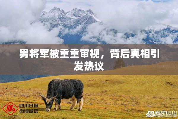 男将军被重重审视，背后真相引发热议