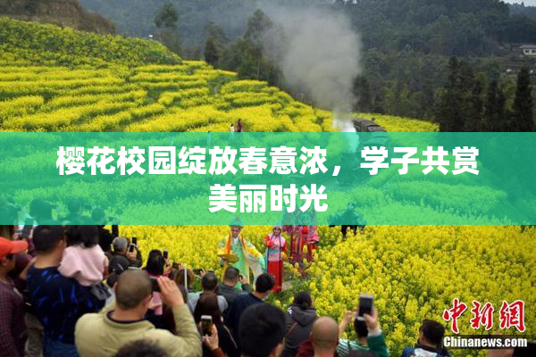 樱花校园绽放春意浓，学子共赏美丽时光
