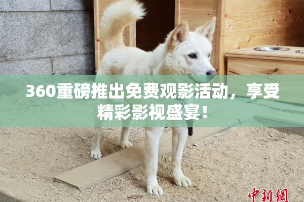 360重磅推出免费观影活动，享受精彩影视盛宴！