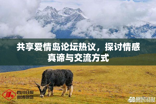 共享爱情岛论坛热议，探讨情感真谛与交流方式