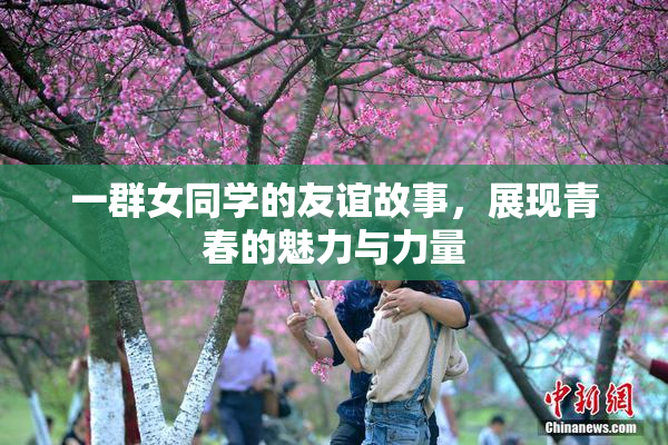 一群女同学的友谊故事，展现青春的魅力与力量
