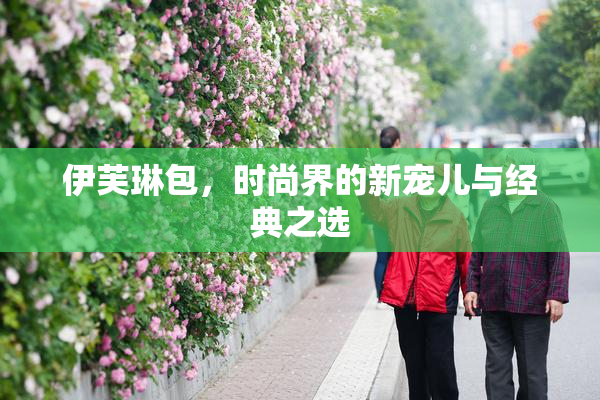 伊芙琳包，时尚界的新宠儿与经典之选