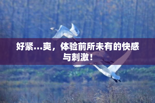 好紧…爽，体验前所未有的快感与刺激！