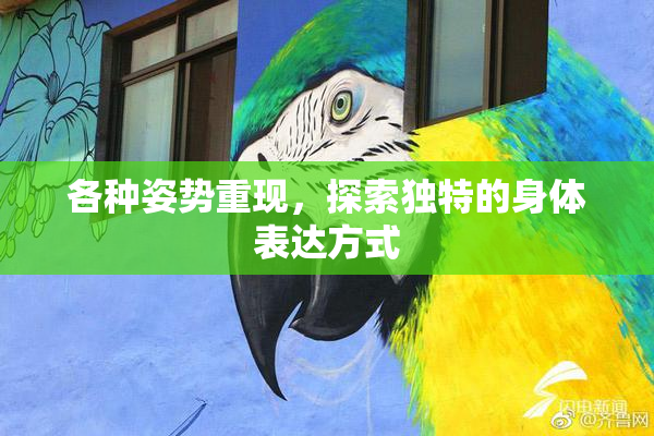 各种姿势重现，探索独特的身体表达方式