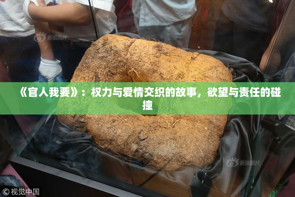 《官人我要》：权力与爱情交织的故事，欲望与责任的碰撞