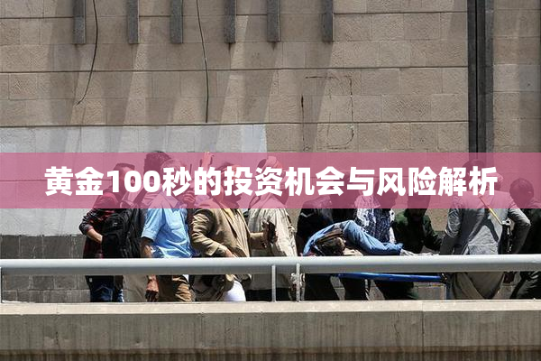 黄金100秒的投资机会与风险解析