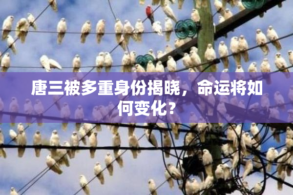 唐三被多重身份揭晓，命运将如何变化？