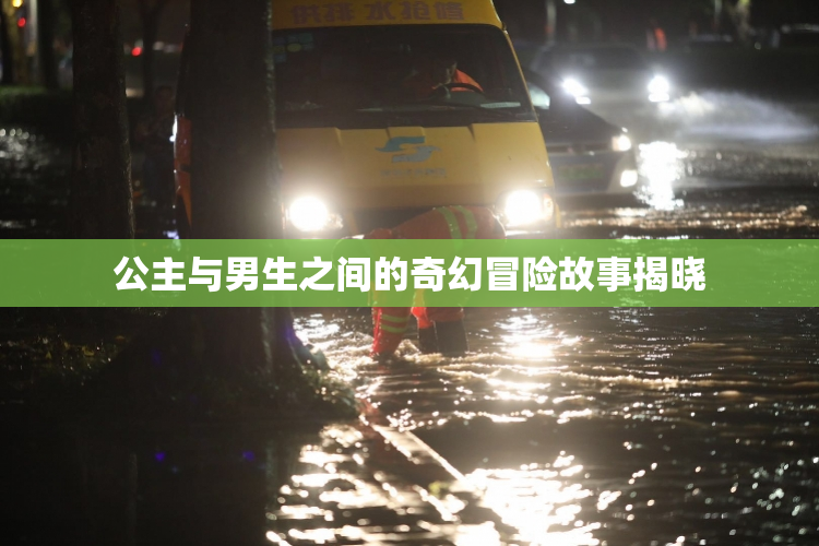 公主与男生之间的奇幻冒险故事揭晓