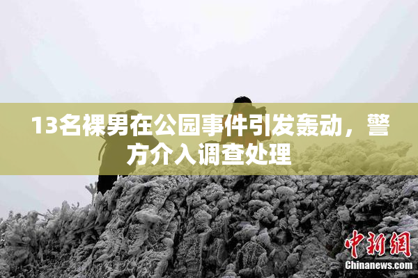 13名裸男在公园事件引发轰动，警方介入调查处理