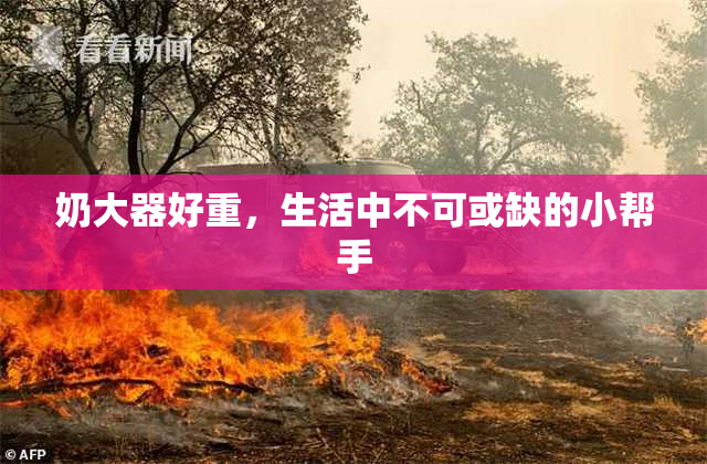 奶大器好重，生活中不可或缺的小帮手