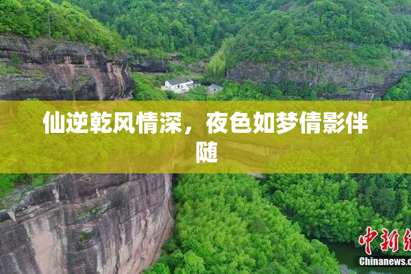 仙逆乾风情深，夜色如梦倩影伴随