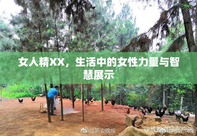 女人精XX，生活中的女性力量与智慧展示