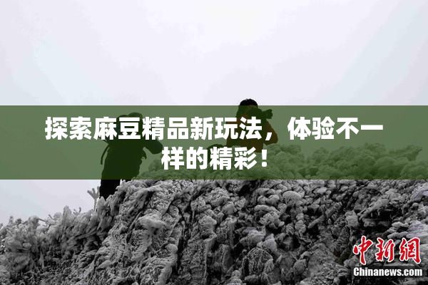 探索麻豆精品新玩法，体验不一样的精彩！