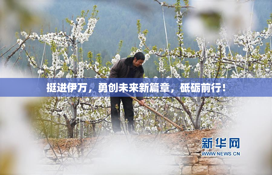 挺进伊万，勇创未来新篇章，砥砺前行！