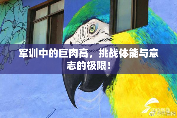 军训中的巨肉高，挑战体能与意志的极限！