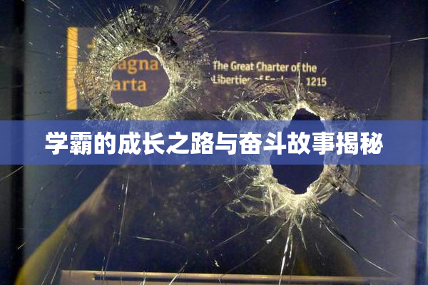 学霸的成长之路与奋斗故事揭秘