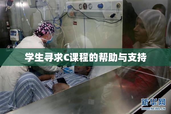 学生寻求C课程的帮助与支持