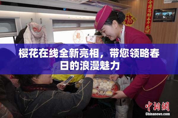 樱花在线全新亮相，带您领略春日的浪漫魅力