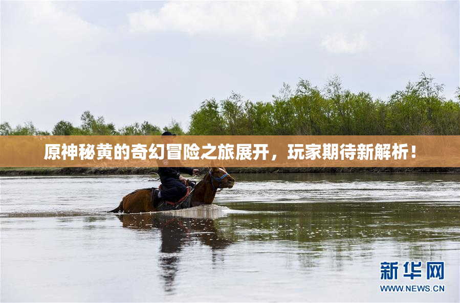 原神秘黄的奇幻冒险之旅展开，玩家期待新解析！
