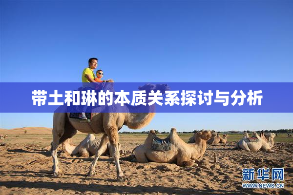 带土和琳的本质关系探讨与分析
