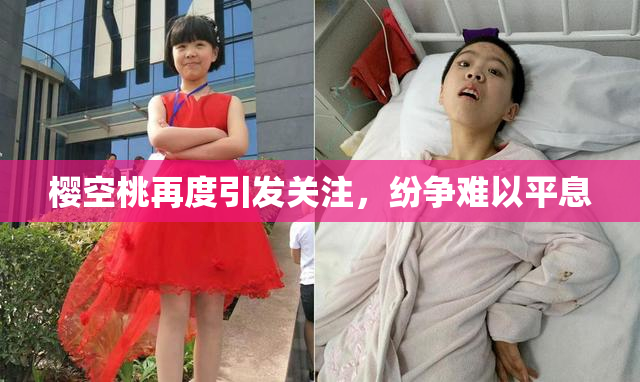 樱空桃再度引发关注，纷争难以平息