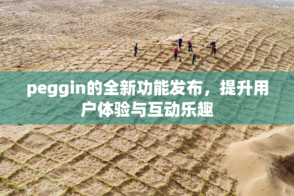 peggin的全新功能发布，提升用户体验与互动乐趣
