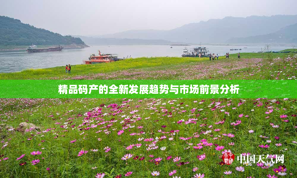 精品码产的全新发展趋势与市场前景分析