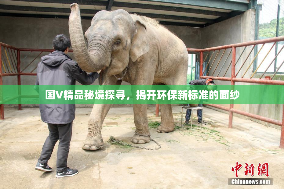 国V精品秘境探寻，揭开环保新标准的面纱