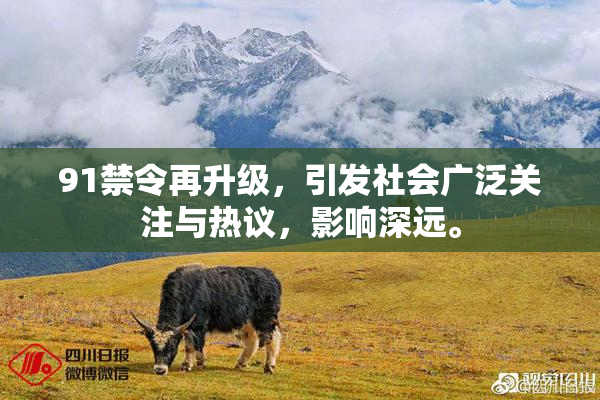91禁令再升级，引发社会广泛关注与热议，影响深远。