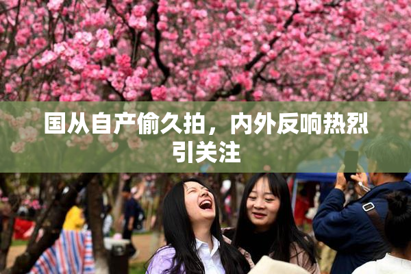 国从自产偷久拍，内外反响热烈引关注