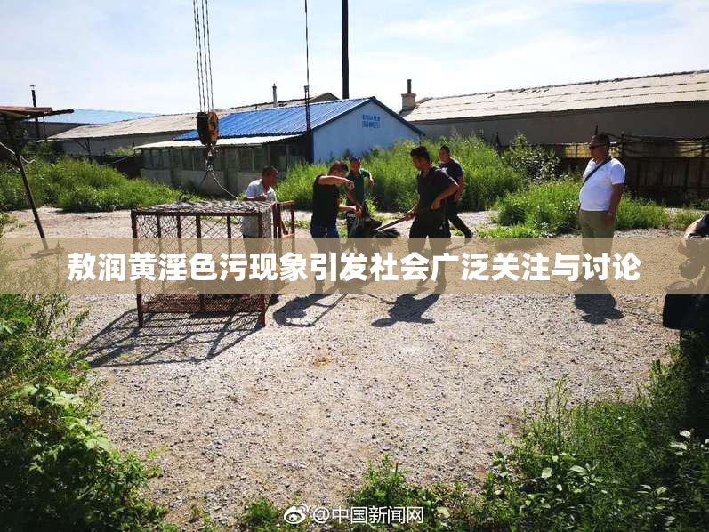 敖润黄淫色污现象引发社会广泛关注与讨论