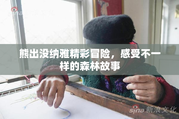 熊出没纳雅精彩冒险，感受不一样的森林故事