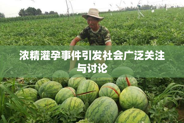 浓精灌孕事件引发社会广泛关注与讨论