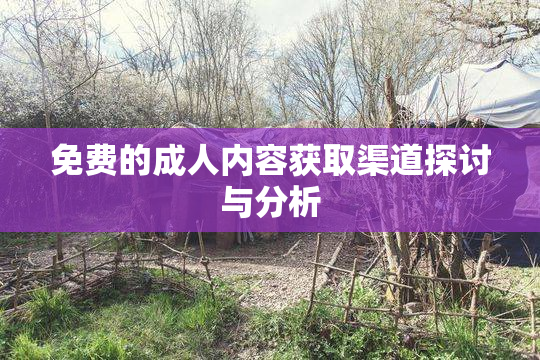 免费的成人内容获取渠道探讨与分析