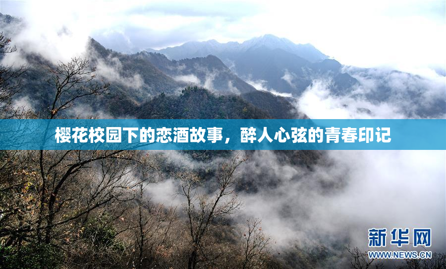 樱花校园下的恋酒故事，醉人心弦的青春印记